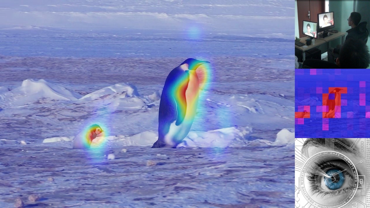 2EDEFB7B1A0706405E6CA2EBA99_3A9FCF9B_31AE5