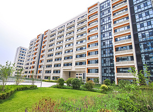 首页-人生就是博手机版